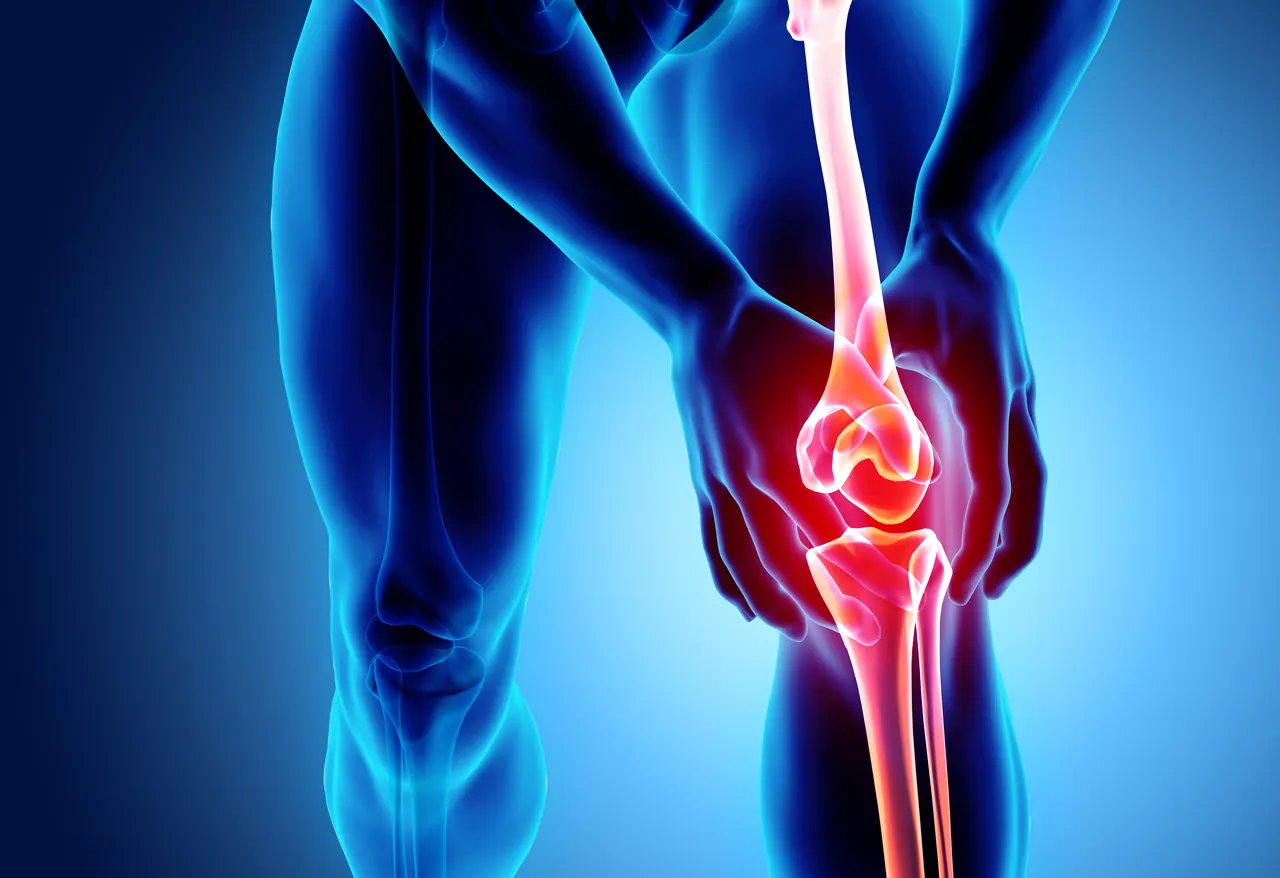 Der Bewegungsapparat Schmerzen in Knie